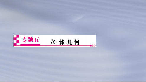 2019年高考数学(文科)二轮复习专题透析5立体几何