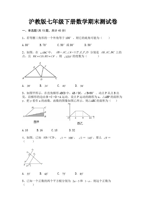 沪教版七年级下册数学期末测试卷完整版