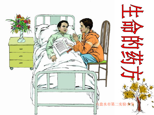 刘瑛《生命的药方》(第一课时)PPT课件