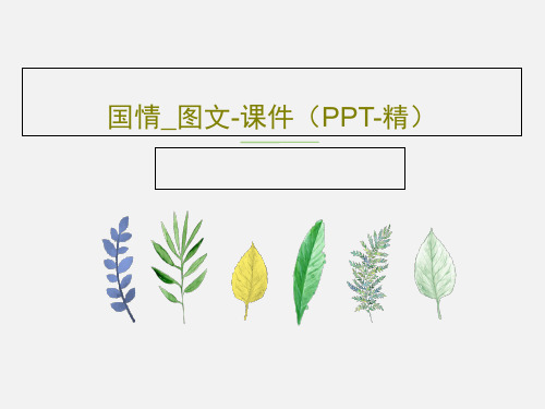 国情_图文-课件(PPT-精)共39页PPT