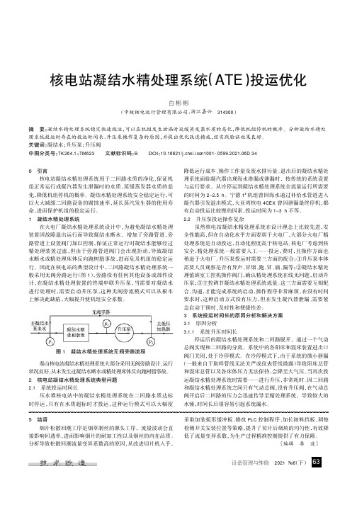 核电站凝结水精处理系统(ATE)投运优化