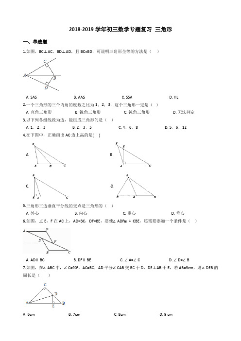 2018-2019学年初三中考数学专题复习 三角形(含答案)