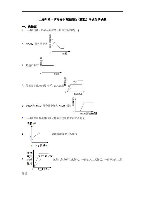 上海川沙中学南校中考适应性(模拟)考试化学试题