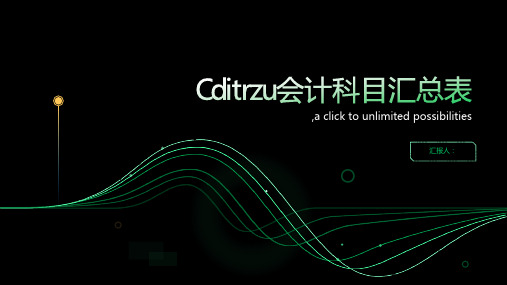 Cditrzu会计科目汇总表