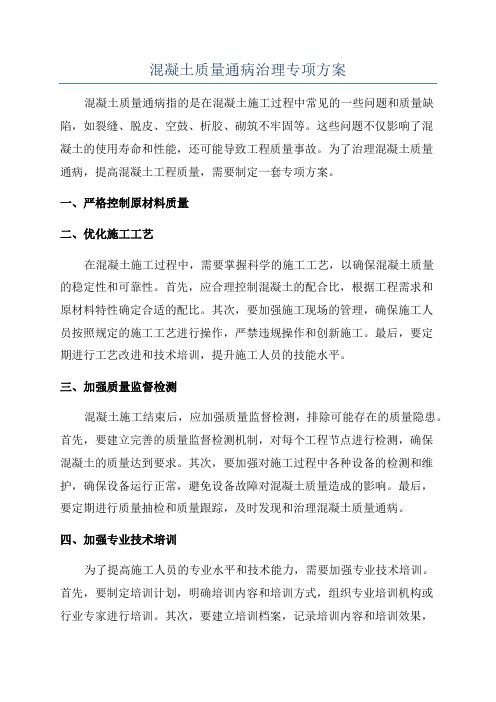 混凝土质量通病治理专项方案