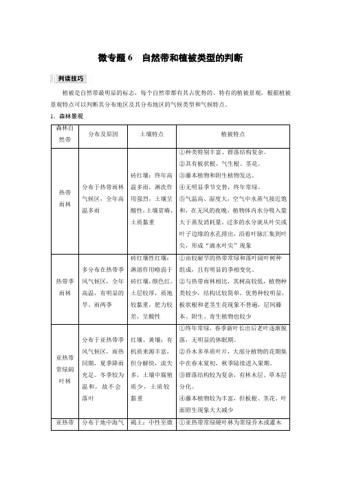 高中地理选择性必修一 练透试卷 第五章 第二节 微专题6 自然带和植被类型的判断