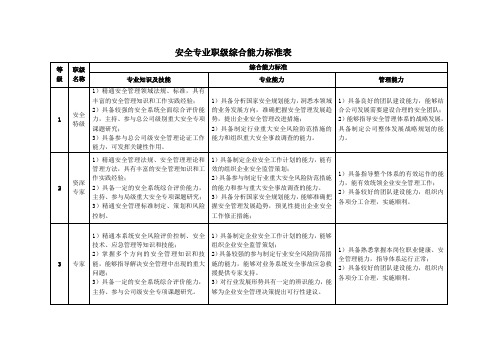 安全专业职级综合能力标准表