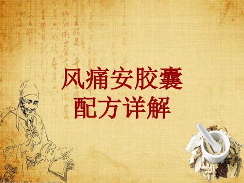 中成药配方详解:风痛安胶囊