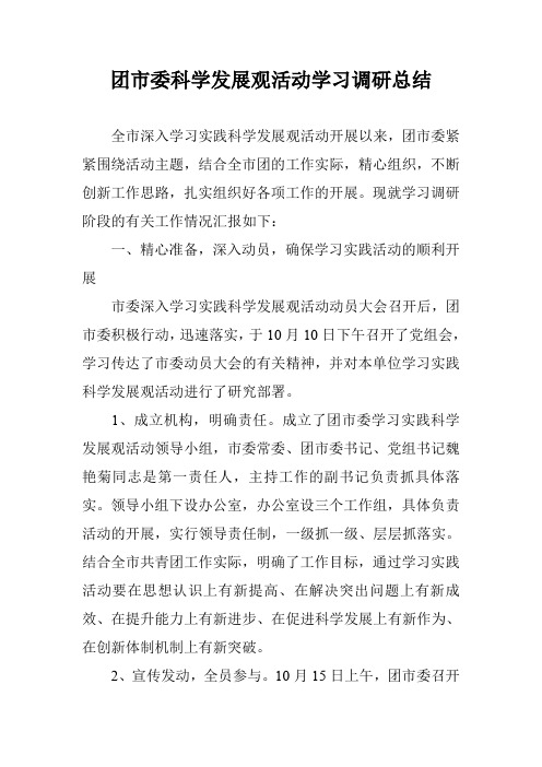 团市委科学发展观活动学习调研总结
