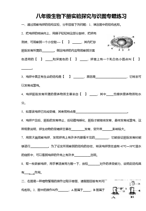 八年级生物下册实验探究与识图专题练习