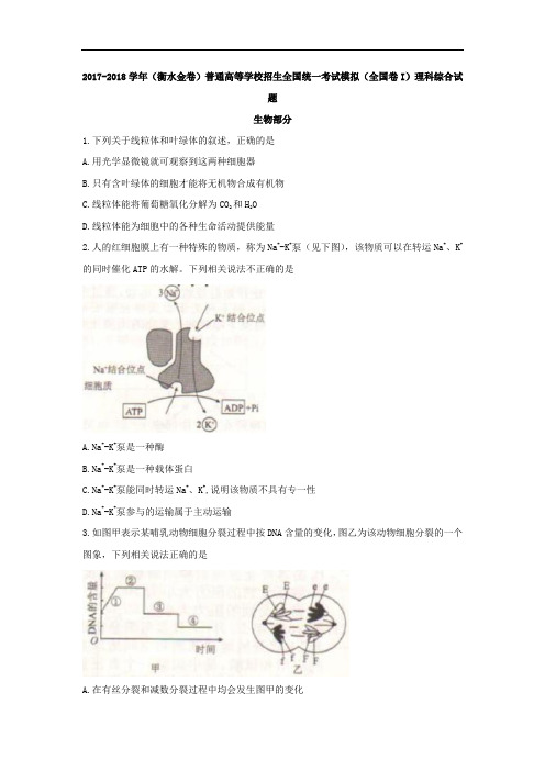 河北省衡水市2017-2018学年高三普通高等学校招生全国统一考试模拟(全国卷I)理综生物试题 Word版含解析