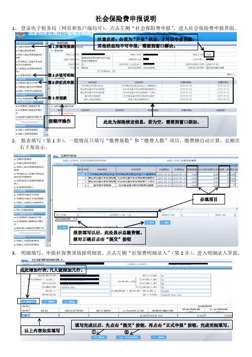 辽宁省电子税务局社会保险费申报说明