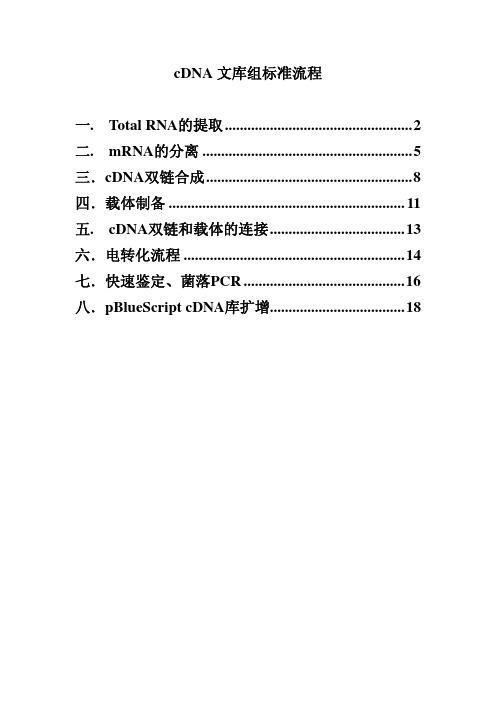 cDNA文库的构建流程