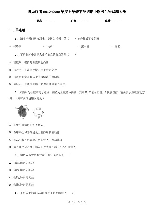 黑龙江省2019-2020年度七年级下学期期中联考生物试题A卷