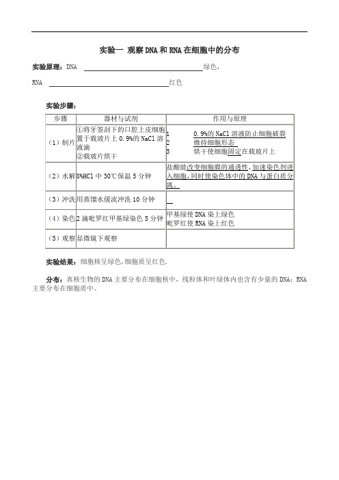 高中生物必修1实验：观察DNA和RNA在细胞中的分布 doc