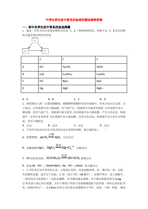 中考化学生活中常见的盐培优测试卷附答案