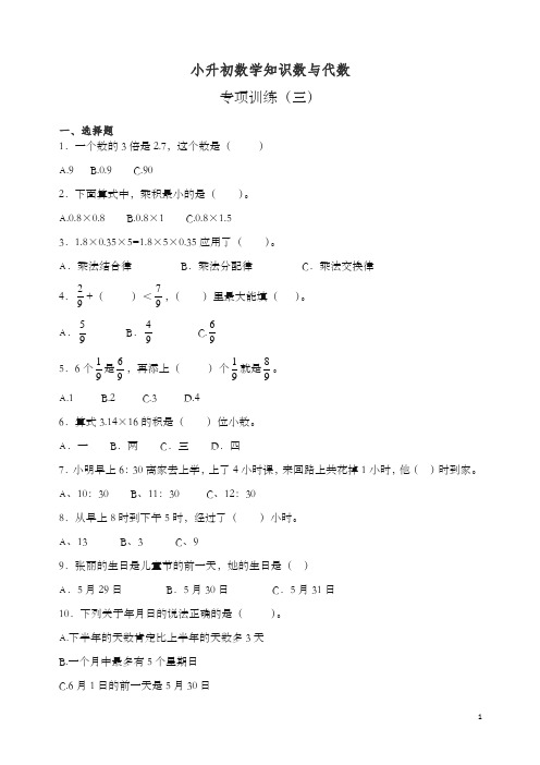 2019-2020学年小升初数学知识数与代数专项训练(三).docx