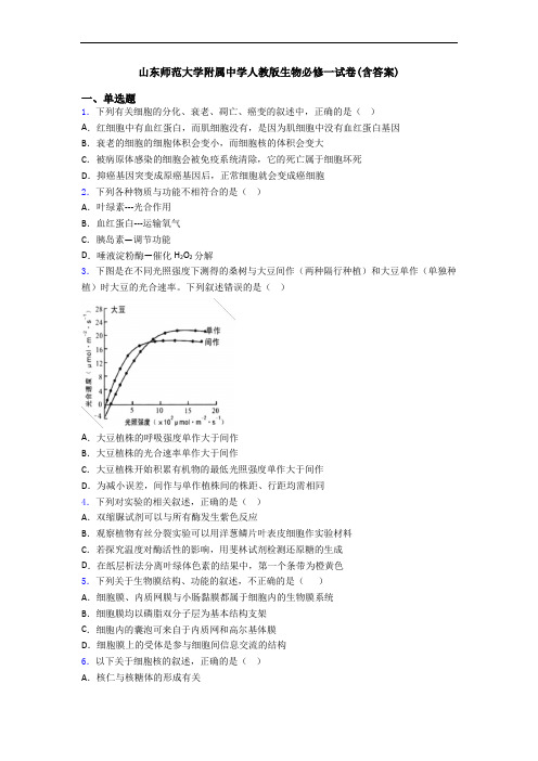 山东师范大学附属中学人教版生物必修一试卷(含答案)