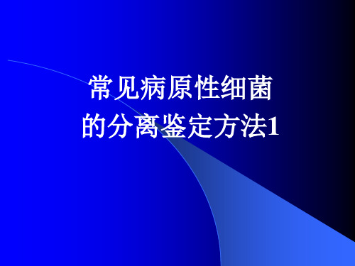 常见病原性细菌的分离鉴定方法1