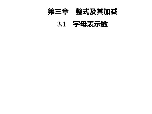 秋七年级数学上册北师大版习题课件：第三章 3.1 字母表示数(共13张PPT)