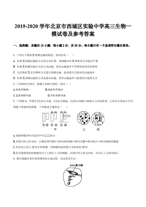 2019-2020学年北京市西城区实验中学高三生物一模试卷及参考答案