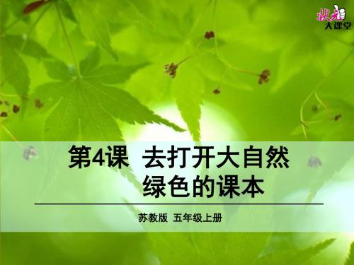 苏教版小学语文第九册4 去打开大自然绿色的课本