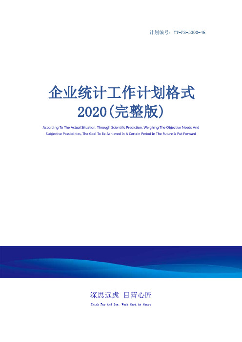 企业统计工作计划格式2020(完整版)