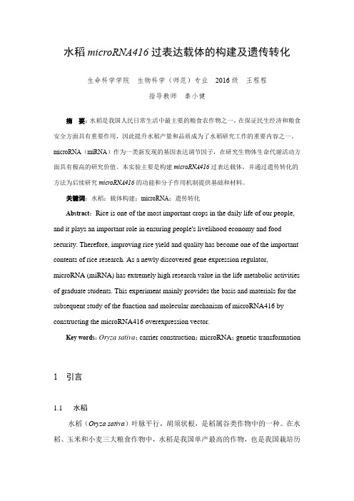 水稻microRNA416过表达载体的构建及遗传转化(1)(1)