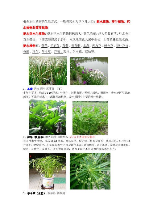 贵州省常用水生植物收集整理