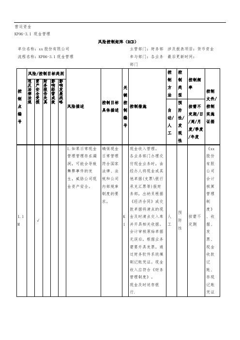 风险控制矩阵(RCD)-现金管理模版