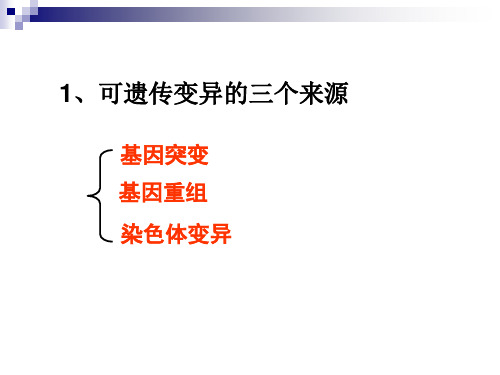 染色体变异共35张PPT