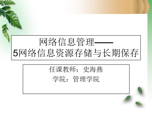 5网络信息资源存储与长期保存