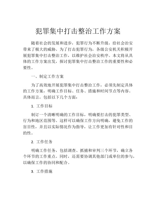 犯罪集中打击整治工作方案