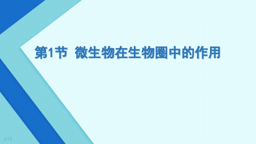 微生物在生物圈中的作用ppt课件