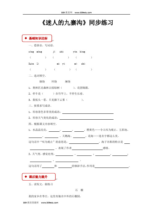 【309教育网优选】西南师大版小学语文四年级下册《迷人的九寨沟》同步练习