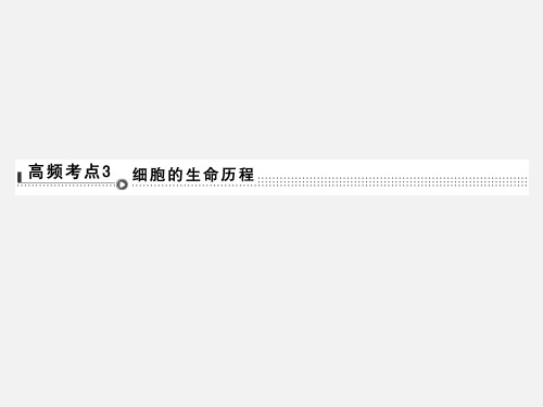 高考生物 二轮复习 体系通关1 高频考点3 细胞的生命历程