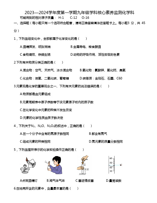 2023—2024学年九年级上学期学科核心素养监测化学试题