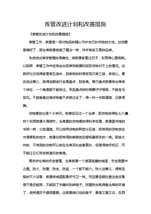 库管改进计划和改善措施