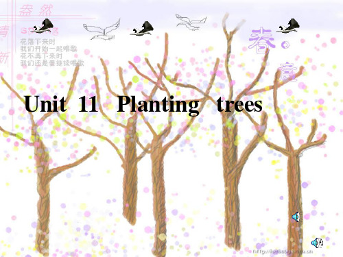 冀教版英语八年级下册  Unit 2  Lesson 7 《Planting Trees》(共23张PPT)