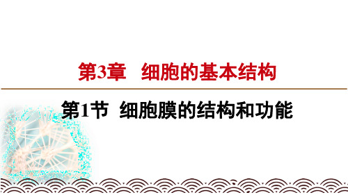 人教版高中生物必修一课件：2.5核酸是遗传信息的携带者(新教材2019)(共19张PPT)