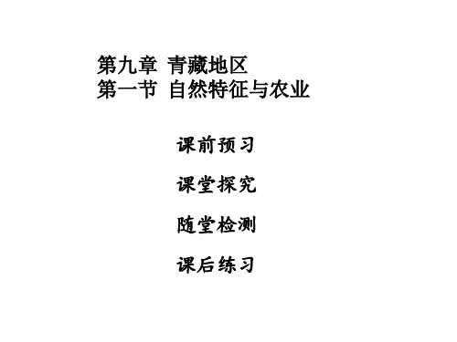 2018年秋八年级人教版地理下册课件：第九章  青藏地区第一节 (共35页)