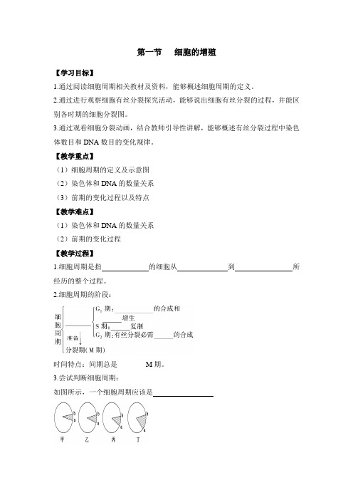 浙科版高中生物必修一《细胞的增殖》导学案-新版