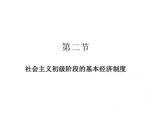 8.2 建设中国特色社会主义经济之社会主义初级阶段基本经济制度