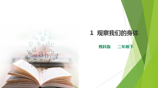 二年级下册科学《1.观察我们的身体》(4) 教科版