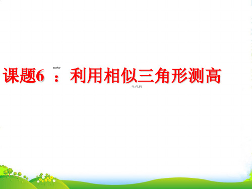 北师大版九年级数学上册《利用相似三角形测高1》优质课课件