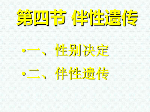 高中生物课件-山东版高中生物必修2第四节《伴性遗传》课件 最新