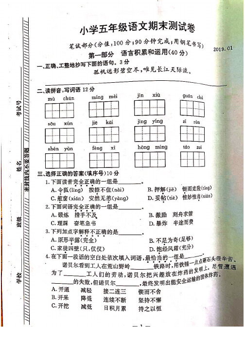 五年级上册语文试题-南京市鼓楼区18-1 期末 试题苏教版