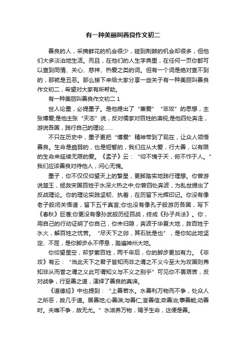 有一种美丽叫善良作文初二