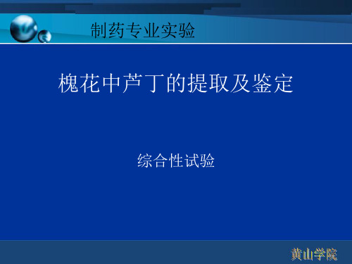 槐花中芦丁的提取及鉴定