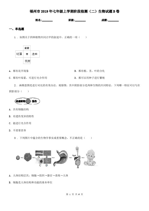 福州市2019年七年级上学期阶段检测(二)生物试题B卷